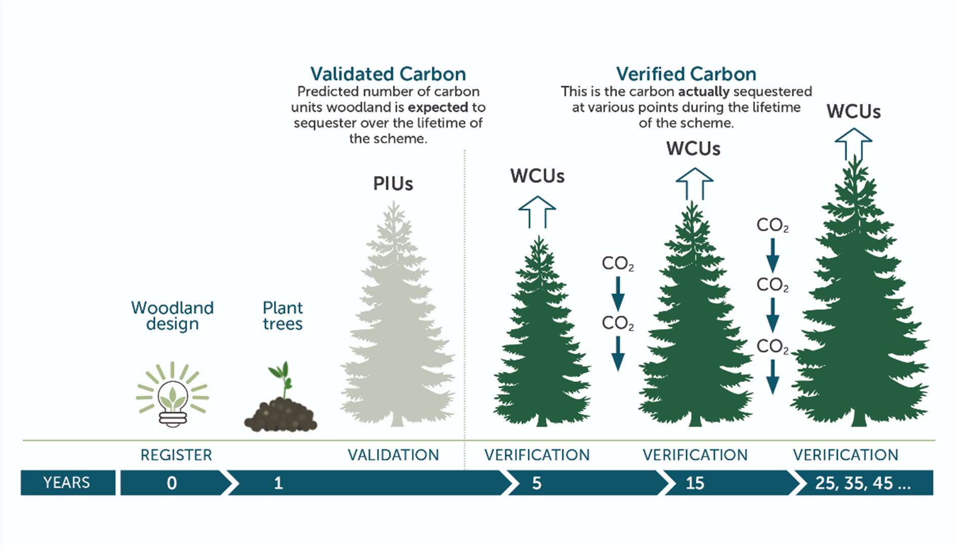WCC project lifecycle: from registration through PIUs to verified WCUs.
