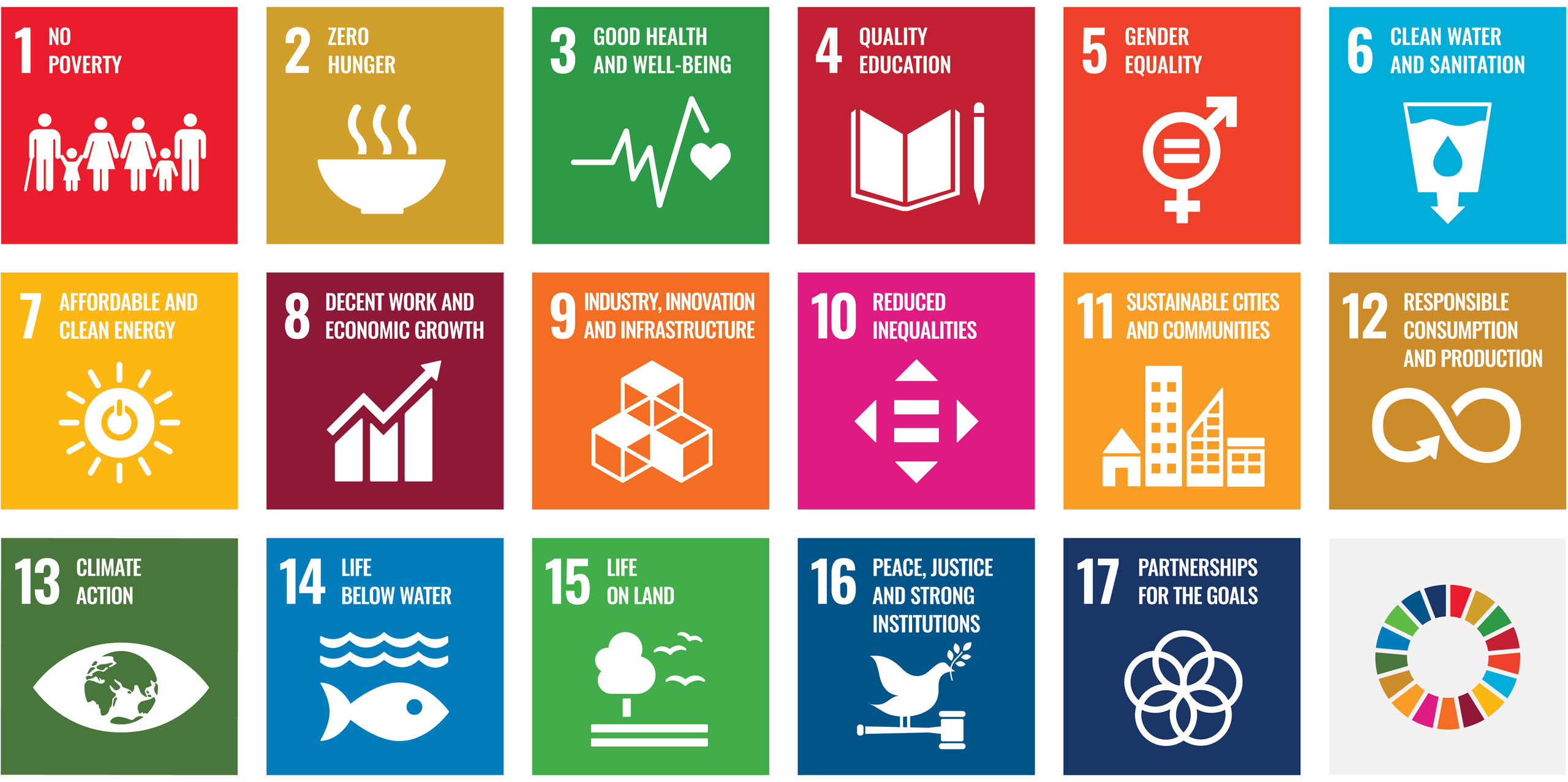 The 17 United Nations Sustainable Development Goals
