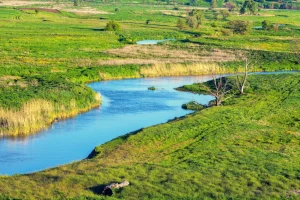 Landscape of a green meadow with a winding river, trees and grass. Water is clear and free of excessive nutrients.